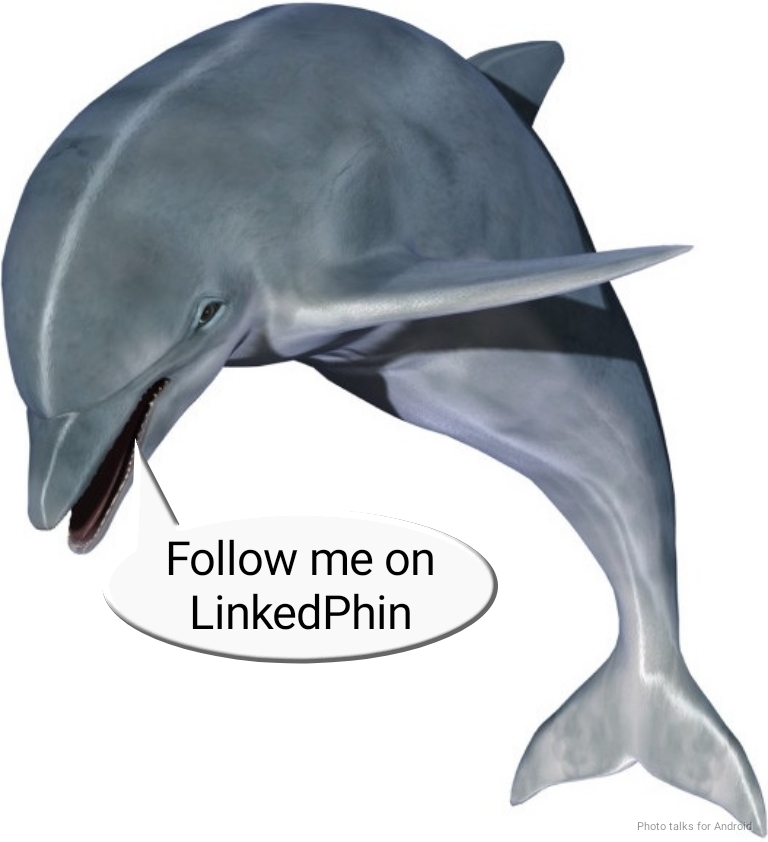 This dolphin would like to tell you about his startup 